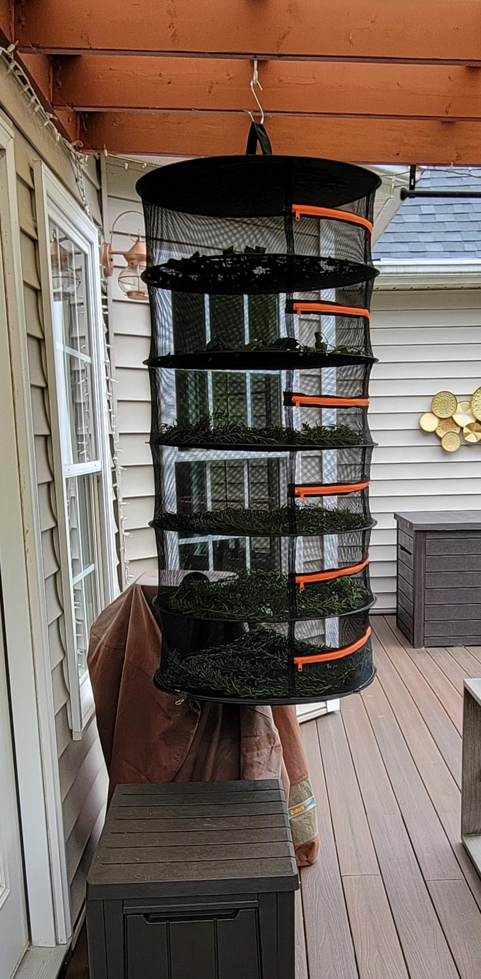 Desy & Feeci Herb Drying Rack-2ft Diameter 4 Layer Folding Mesh Hanging Basket Dryer Net with Zippers for Seeds Flowers Buds Plants Garden Outdoor Bumper Harvest(D24xH31 inch) customer photo 2