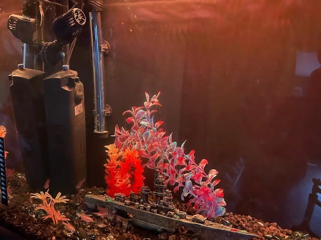 Orlushy Submersible Aquarium Heater,500W Fish Tahk Heater with Adjust Knob Thermostat 2 Suction Cups and Free Thermometer Suitable for Marine Saltwater and Freshwater (500W) customer photo 1