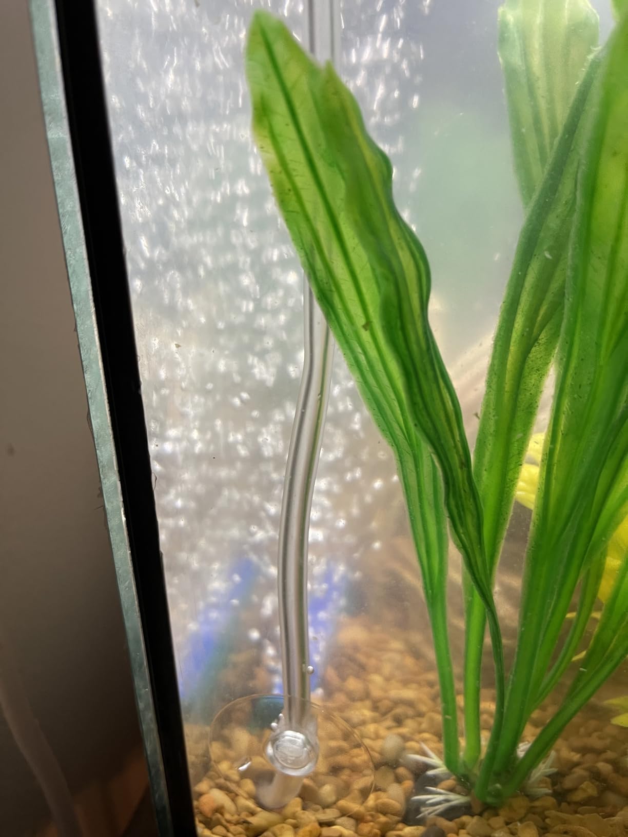 PULACO Ultra Quiet Mini Aquarium Fish Tank Air Pump for 1-20 Gallon Fish Bowl with Air Tube Air Bubbler Stone Check Valve customer photo 1
