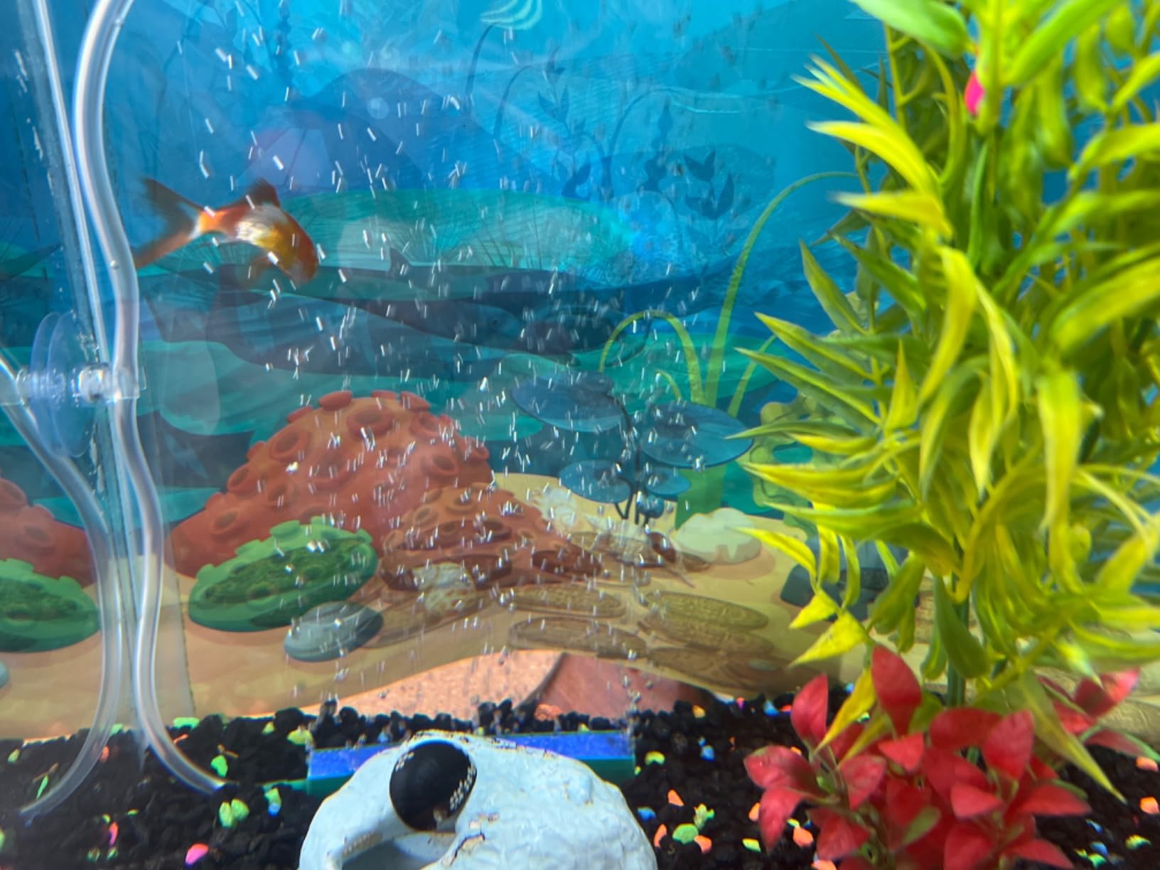 PULACO Ultra Quiet Mini Aquarium Fish Tank Air Pump for 1-20 Gallon Fish Bowl with Air Tube Air Bubbler Stone Check Valve customer photo 2
