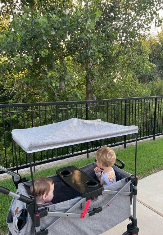 EVER ADVANCED Foldable Wagons for Two Kids & Cargo, Collapsible Folding Stroller with Adjustable Handle Bar,Removable Canopy with 5-Point Harness Gray customer photo 1
