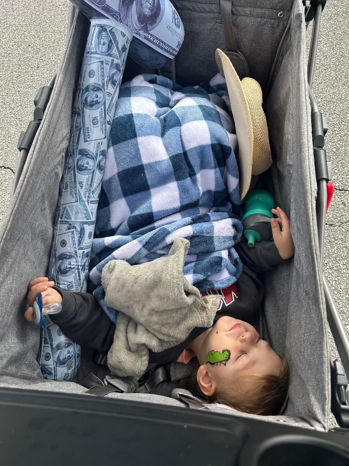 EVER ADVANCED Foldable Wagons for Two Kids & Cargo, Collapsible Folding Stroller with Adjustable Handle Bar,Removable Canopy with 5-Point Harness Gray customer photo 2