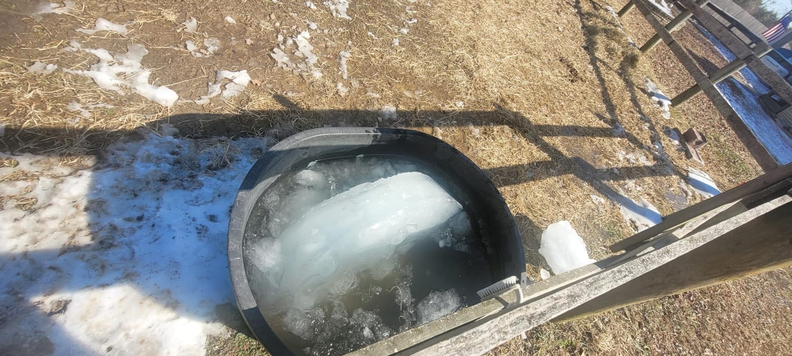Upgraded 500-Watt Chicken Water Heater - Submergible Cast Aluminum Utility De-Icer with Black Teflon Coating for Livestock Tanks, Winter Bird Bath, and Mineral Buildup Resistance customer photo 2