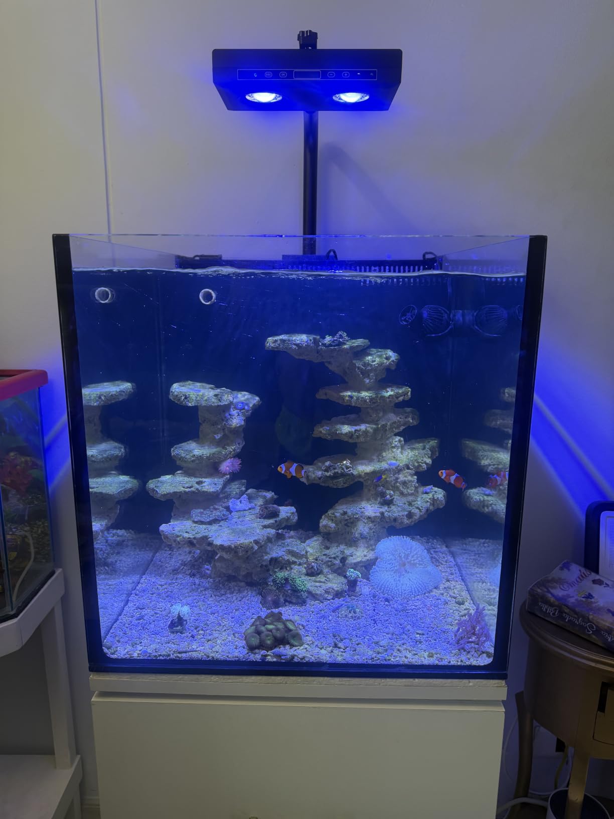 Aquarium Light - 95 Watt Sunrise Sunset Moonlight, Group Control Program Coral Reef Light Dimmable Full Spectrum for Marine Tanks,Saltwater Tank Light with Timer (Brackets) customer photo 1