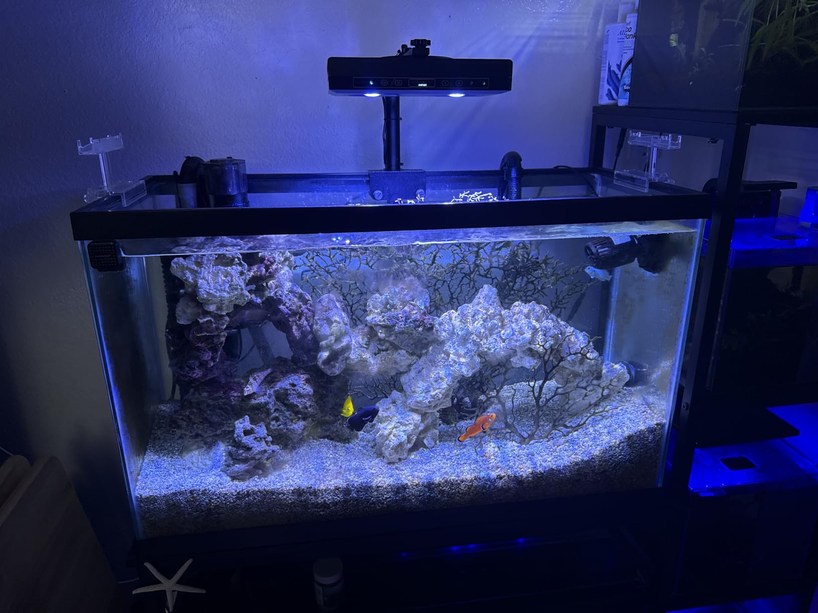 Aquarium Light - 95 Watt Sunrise Sunset Moonlight, Group Control Program Coral Reef Light Dimmable Full Spectrum for Marine Tanks,Saltwater Tank Light with Timer (Brackets) customer photo 2
