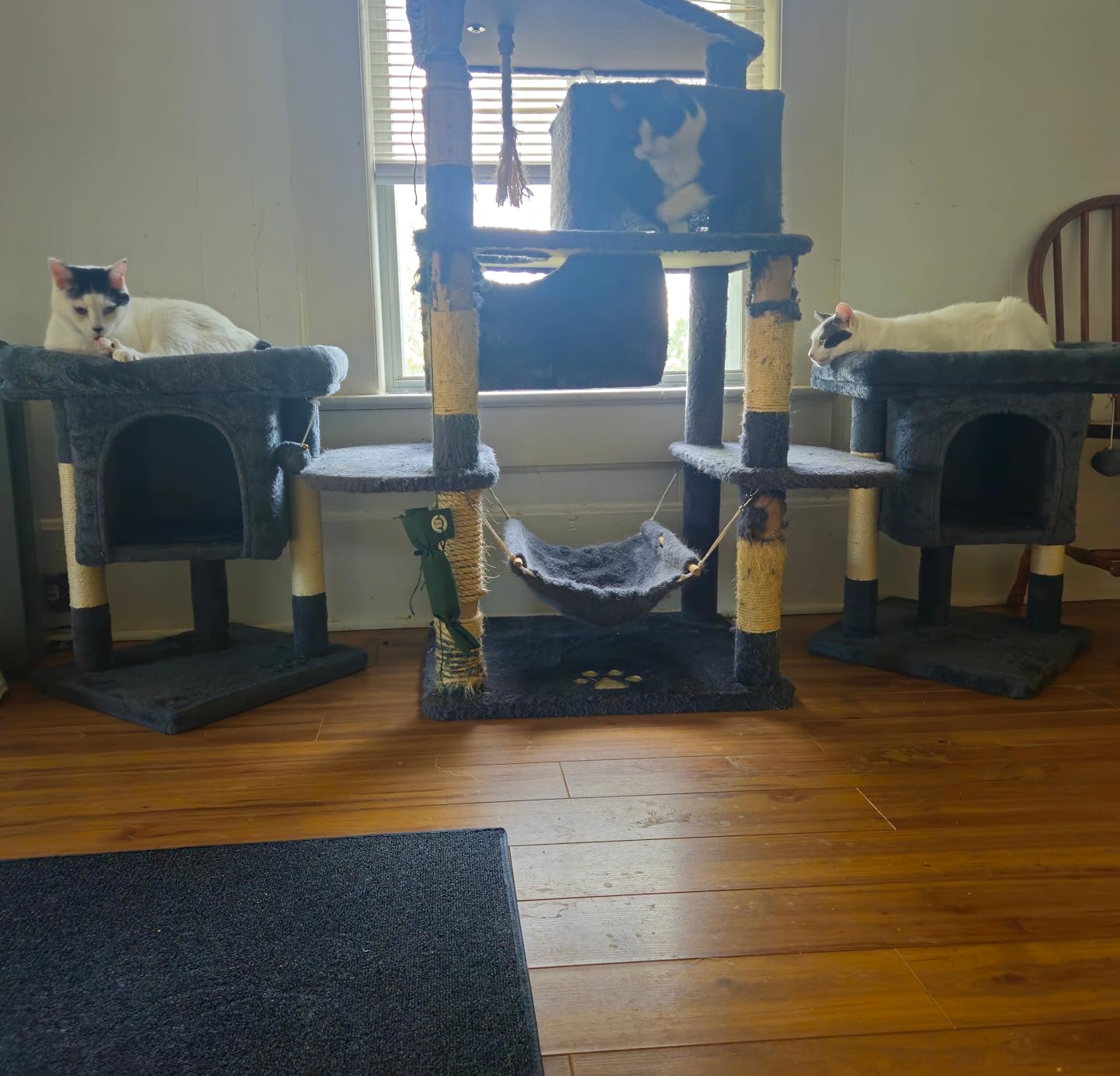 Yaheetech Small Cat Tree 23.5in for Kittens & Senior Cats, Low Profile Gray customer photo 2