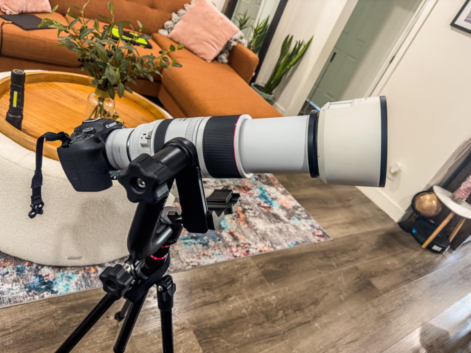 K&F CONCEPT Aluminum Alloy 360 Degree Panoramic Gimbal Tripod Head with 1/4'' Standard Quick Release Plate and Bubble Level,Load Capacity up to 20kg/44lbs customer photo 1