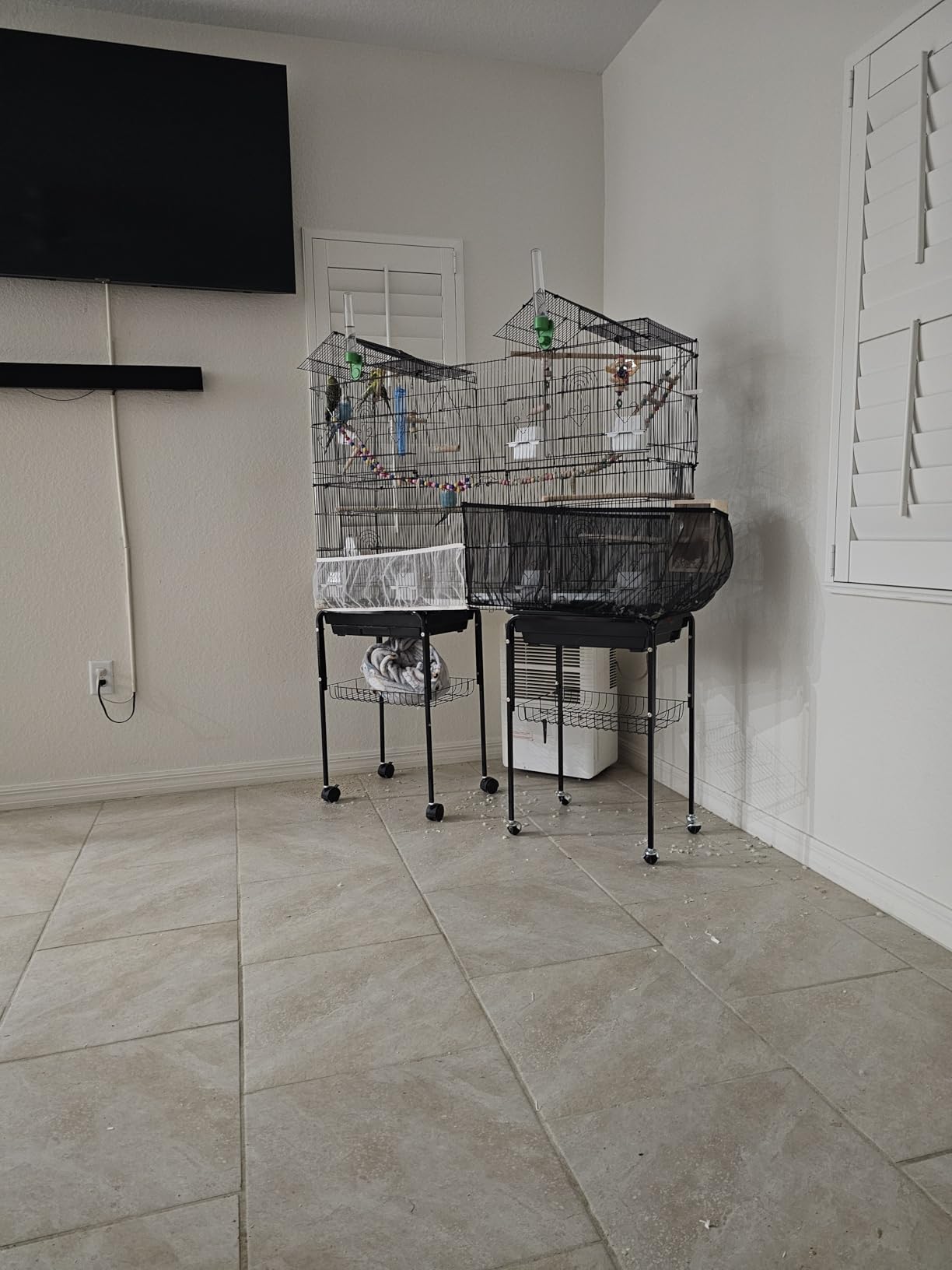 Yaheetech 62.5-inch Roof Top Flight Bird Cage for Parakeets Cockatiels Conures Finches Lovebirds Canaries Budgies Small Parrots, Large Birdcage with Detachable Rolling Stand, White customer photo 2