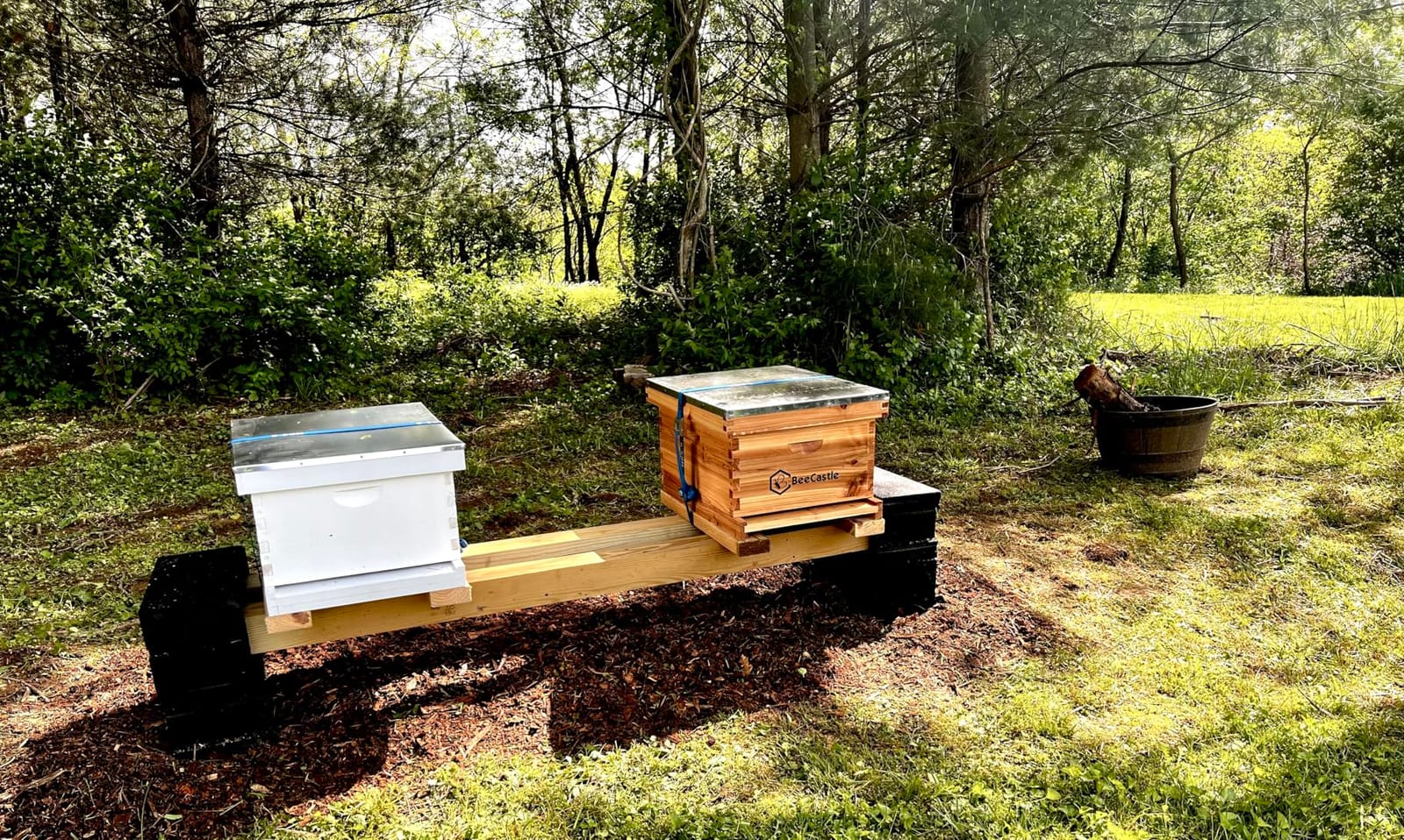 BeeCastle 10-Frame Bee Hives and Supplies Starter Kit,Beehive Kit Dipped in Beeswax,Bee Keeping Supplies-All Beginners Kit Includes Beekeeping Supplies Tool Set and Bee Suit. customer photo 1