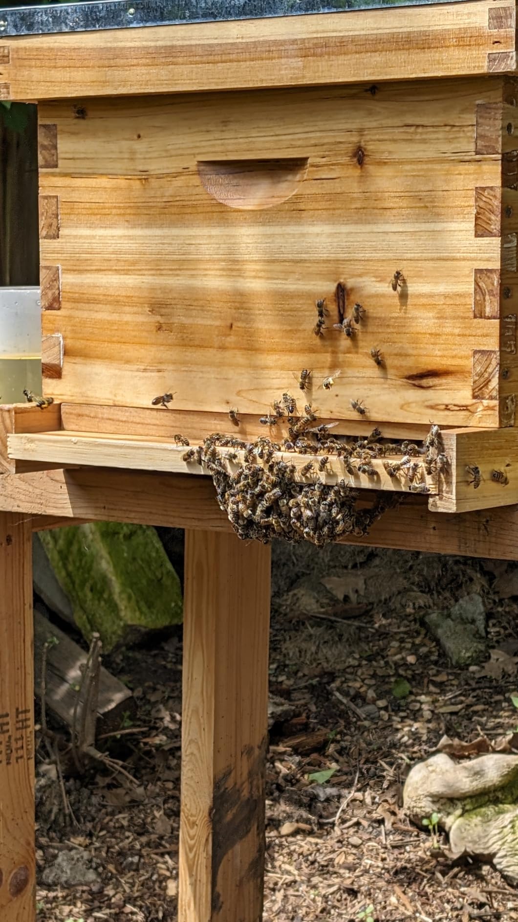 Honey Lake 10 Frame Bee Hives Boxes Starter Kit and Bee Keeping Supplies-All Beginners Kit, Bee Hive Kit with Beekeeping Tool Kit Includes Bee Smoker Beekeeper Veil Hat customer photo 2