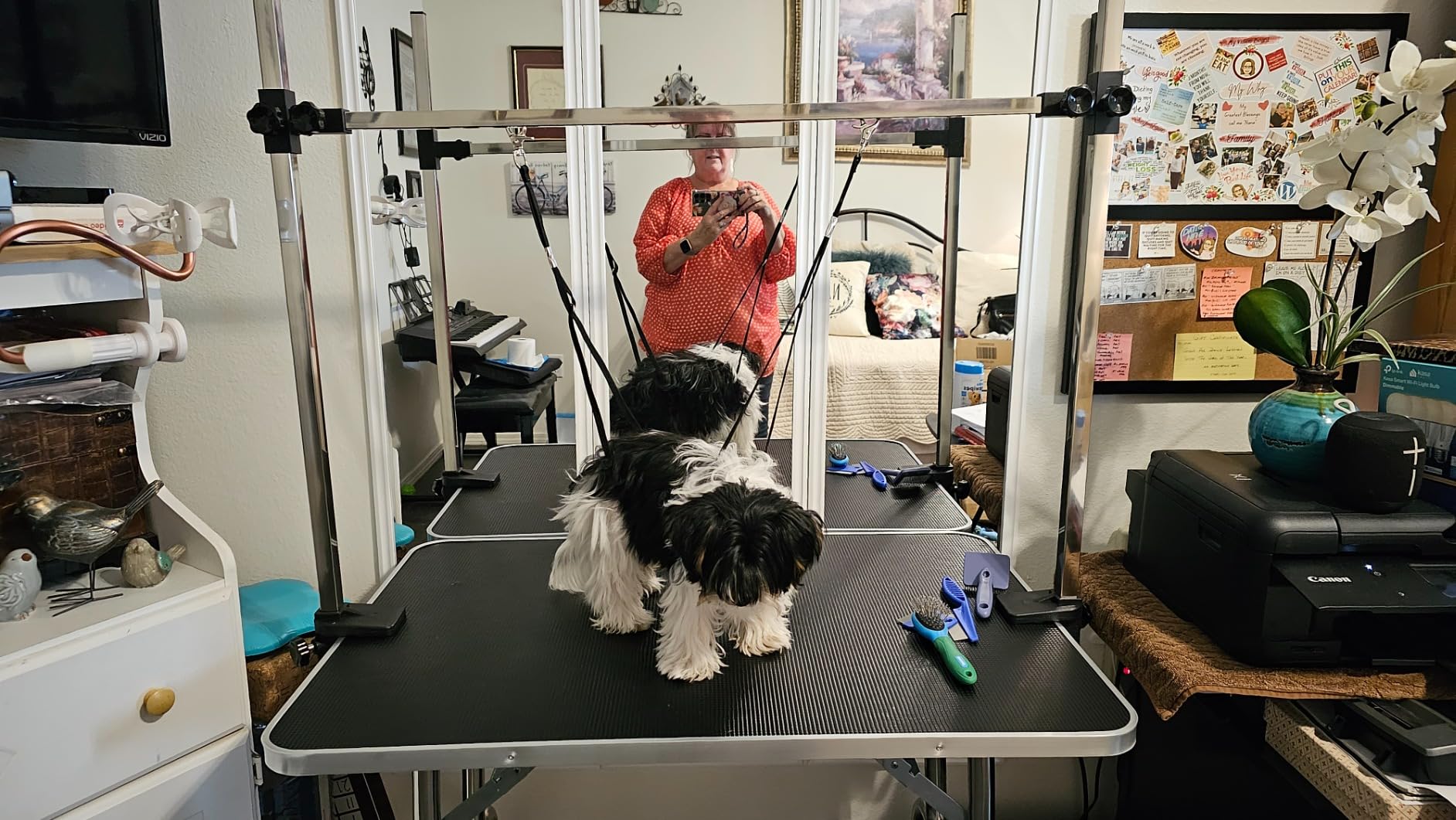 Lyromix 36'' Foldable Dog Grooming Table with Arms/Nooses/Mesh Tray, Black customer photo 1