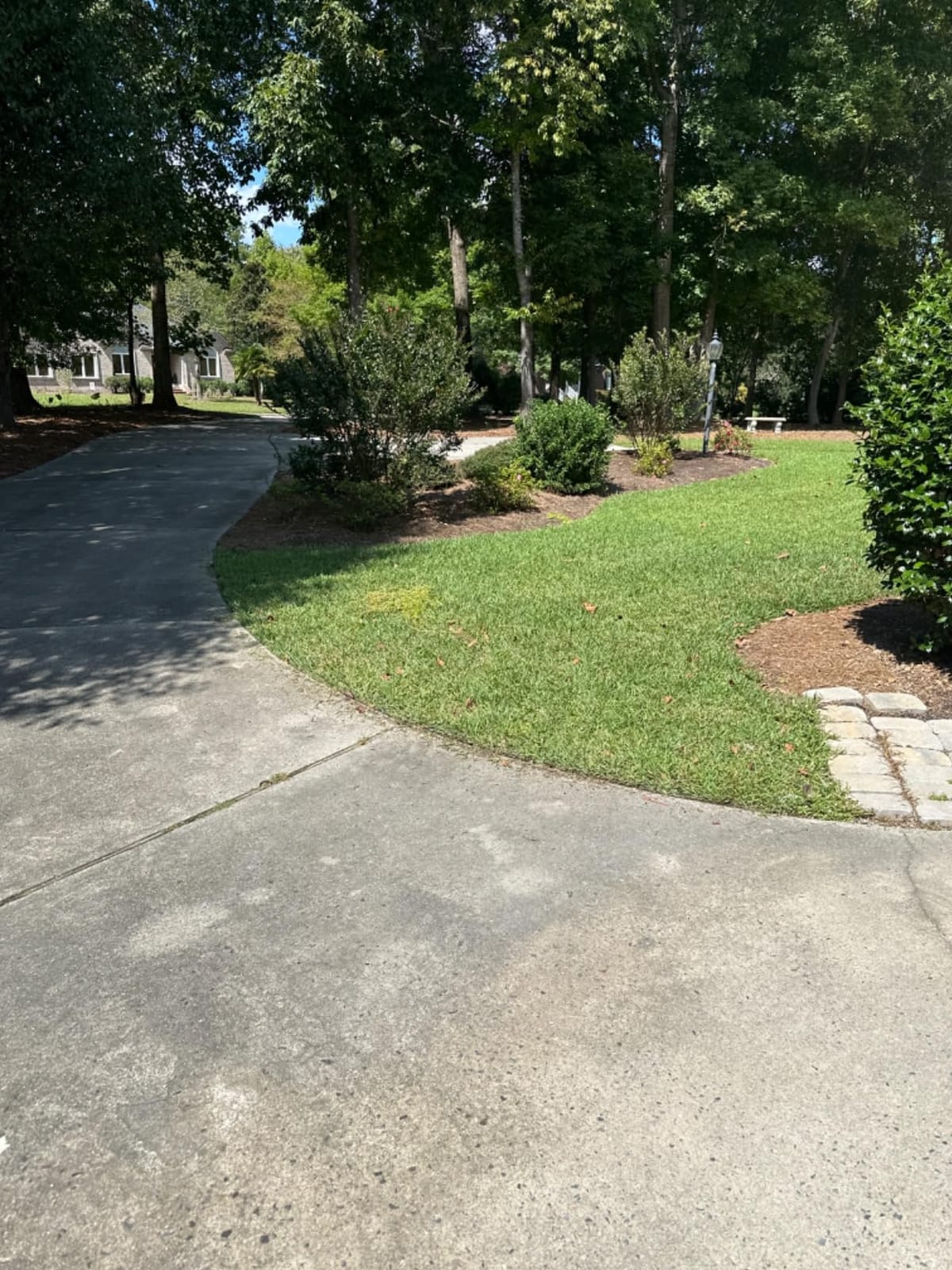 CRAFTSMAN Cordless Edger Lawn Tool, 20V MAX Battery, Charger and Blade Included, Lightweight Lawn Edger, 7.5 in Cutting Width, 1000 Ft of Edging per Charge (CMCED400D1) customer photo 1