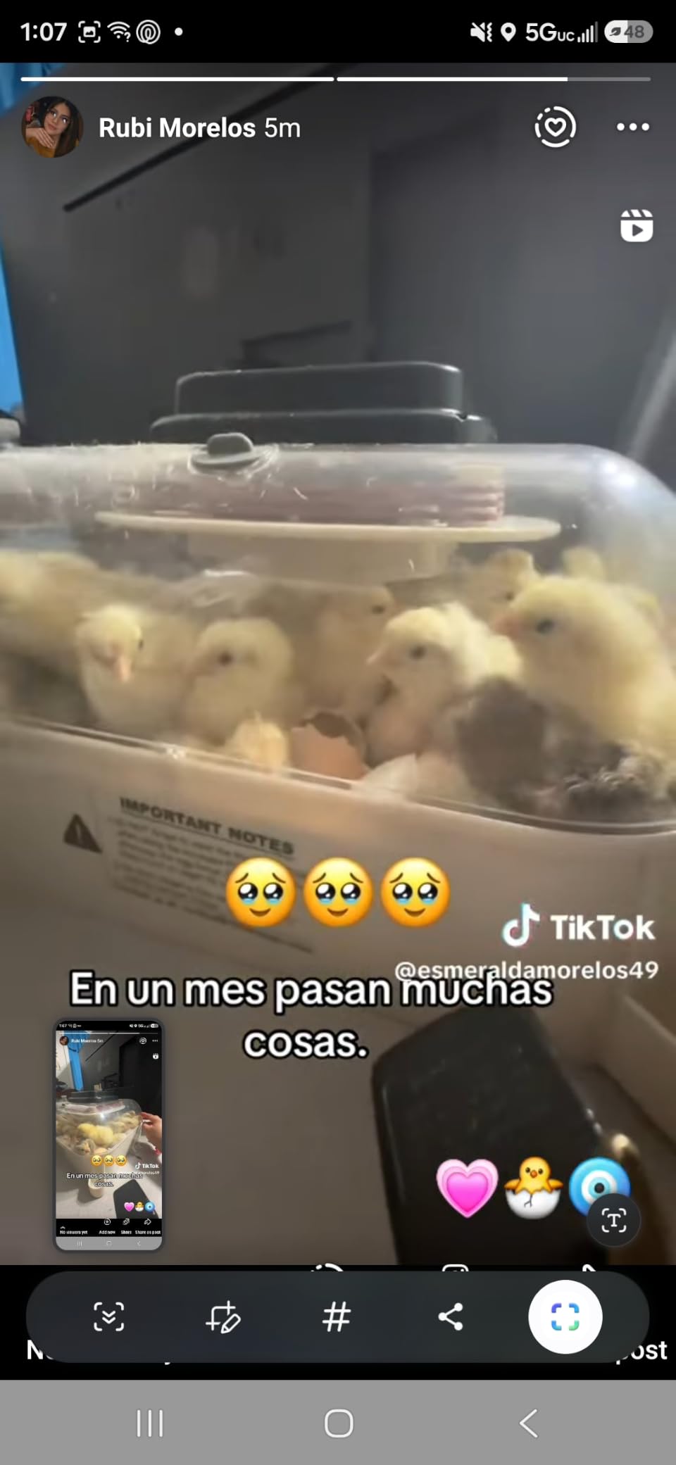 MATICOOPX 30 Egg Incubator with Humidity Display, Egg Candler, Automatic Egg Turner, for Hatching Chickens customer photo 2