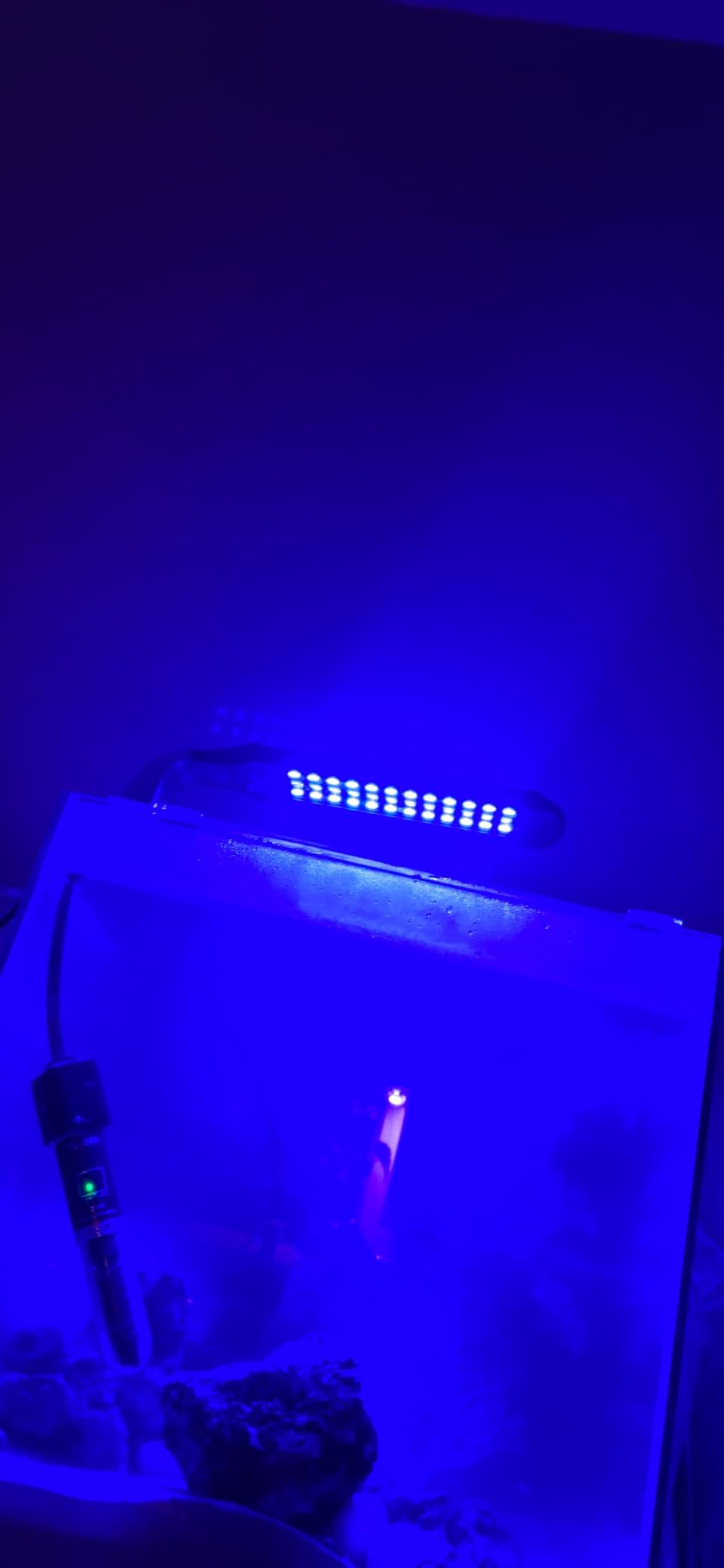 NICREW Clip-on Marine Aquarium Light for Coral Reef Tank customer photo 1