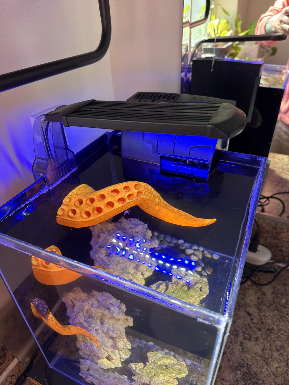 NICREW Clip-on Marine Aquarium Light for Coral Reef Tank customer photo 2