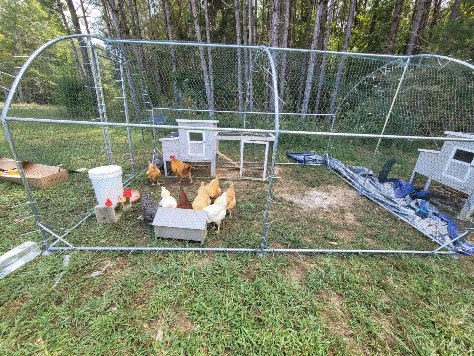 Large Metal Chicken Coop Round Top Upgrade Tri-Supporting Wire Mesh Chicken Run,Chicken Pen with Water-Resident and Anti-UV Cover,Duck Rabbit House Outdoor(19'L x 9'W x 6.5'H) customer photo 2