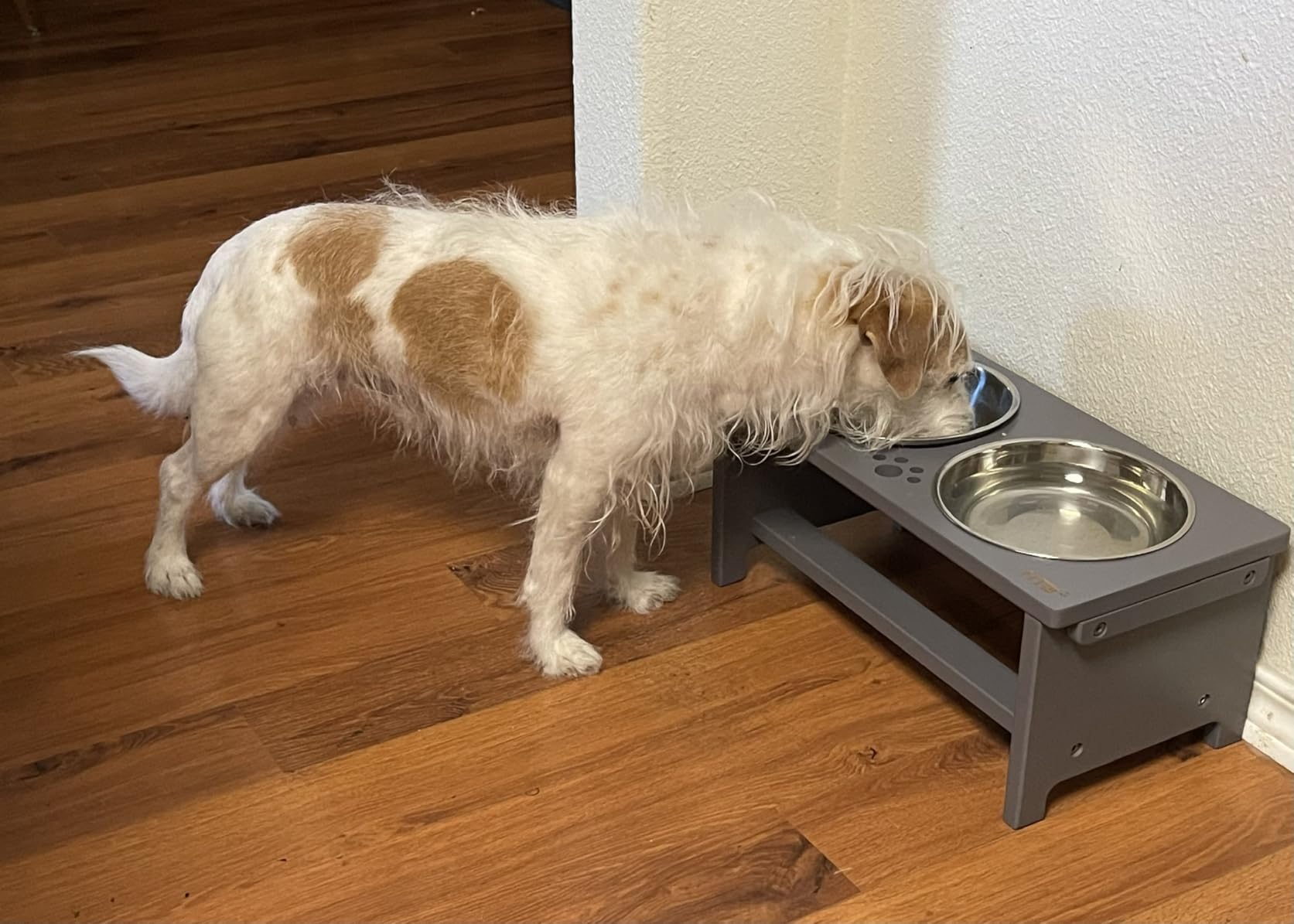 HTB Elevated Dog Bowl Stand with 2 Stainless Steel Bowls-14 H XLarge Bamboo customer photo 2