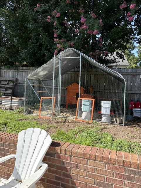 CHIKENCOOP 9.8 x 6.5 x 6.5 ft Metal Chicken Coop, Chicken Run with Cover customer photo 2