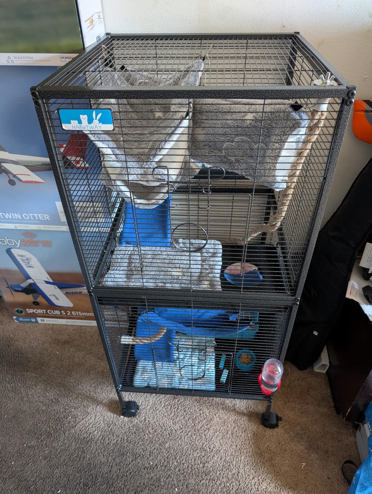 HABUTWAY 50''H Metal Small Animal Cages, Rolling Chinchilla Cage with Removable Ramps, Lagre Cage for Chinchillas/Guinea Pigs/Rabbit, Ferret Cages with Hammock & 5 Tiers, Black customer photo 1