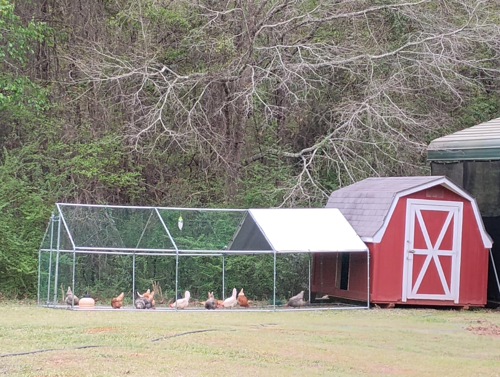 VEVOR Large Metal Chicken Coop with Run, 13.1 x 9.8 x 6.5 ft Walkin Chicken Coop for Yard with Waterproof Cover, Dome Roof Large Poultry Cage for Hen House, Duck Coop and Rabbit Run customer photo 2