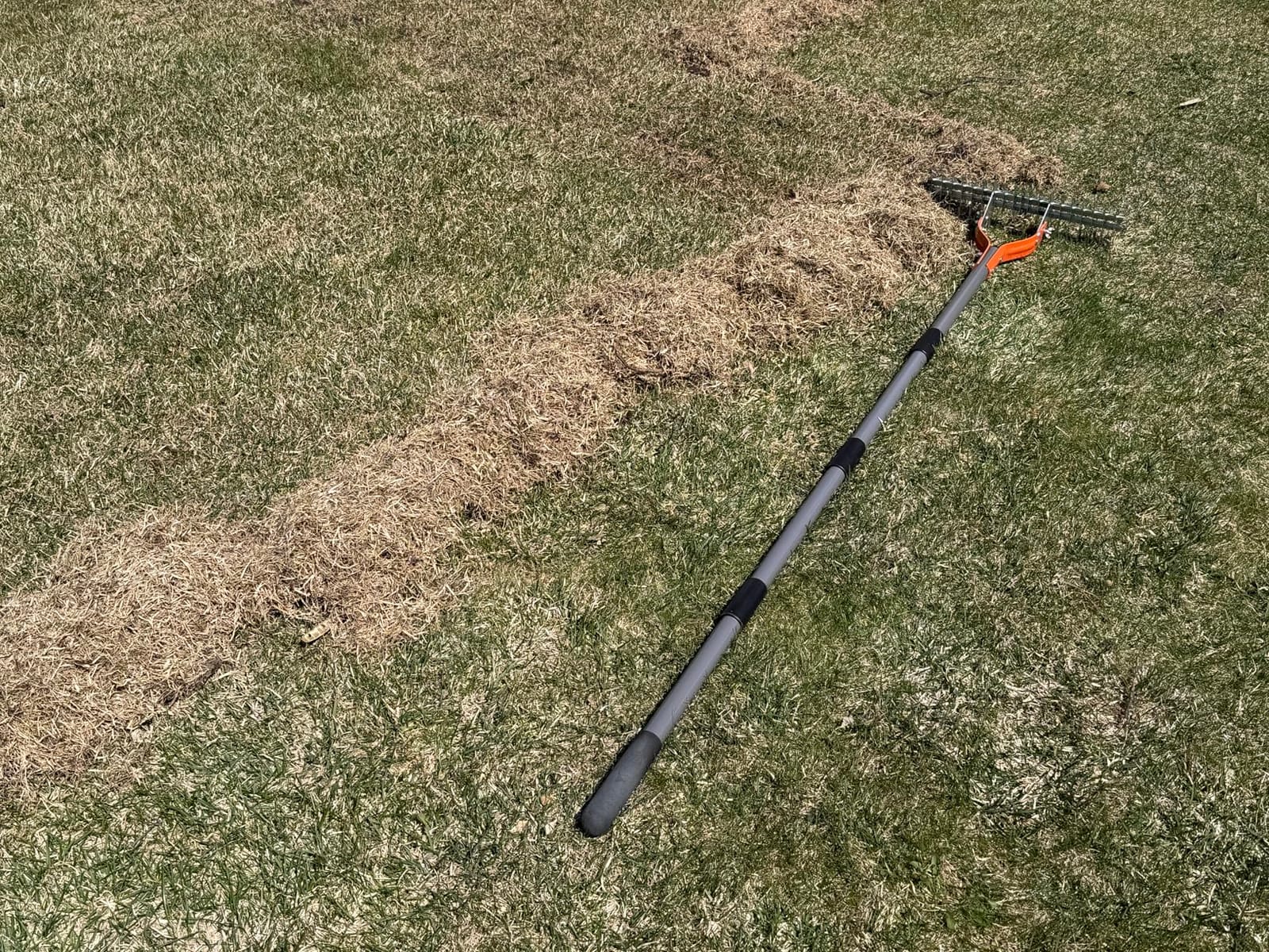 Walensee 15-Inch Thatch Rake for Lawn, 19-Tine Dethatcher, 70-Inch Handle customer photo 2