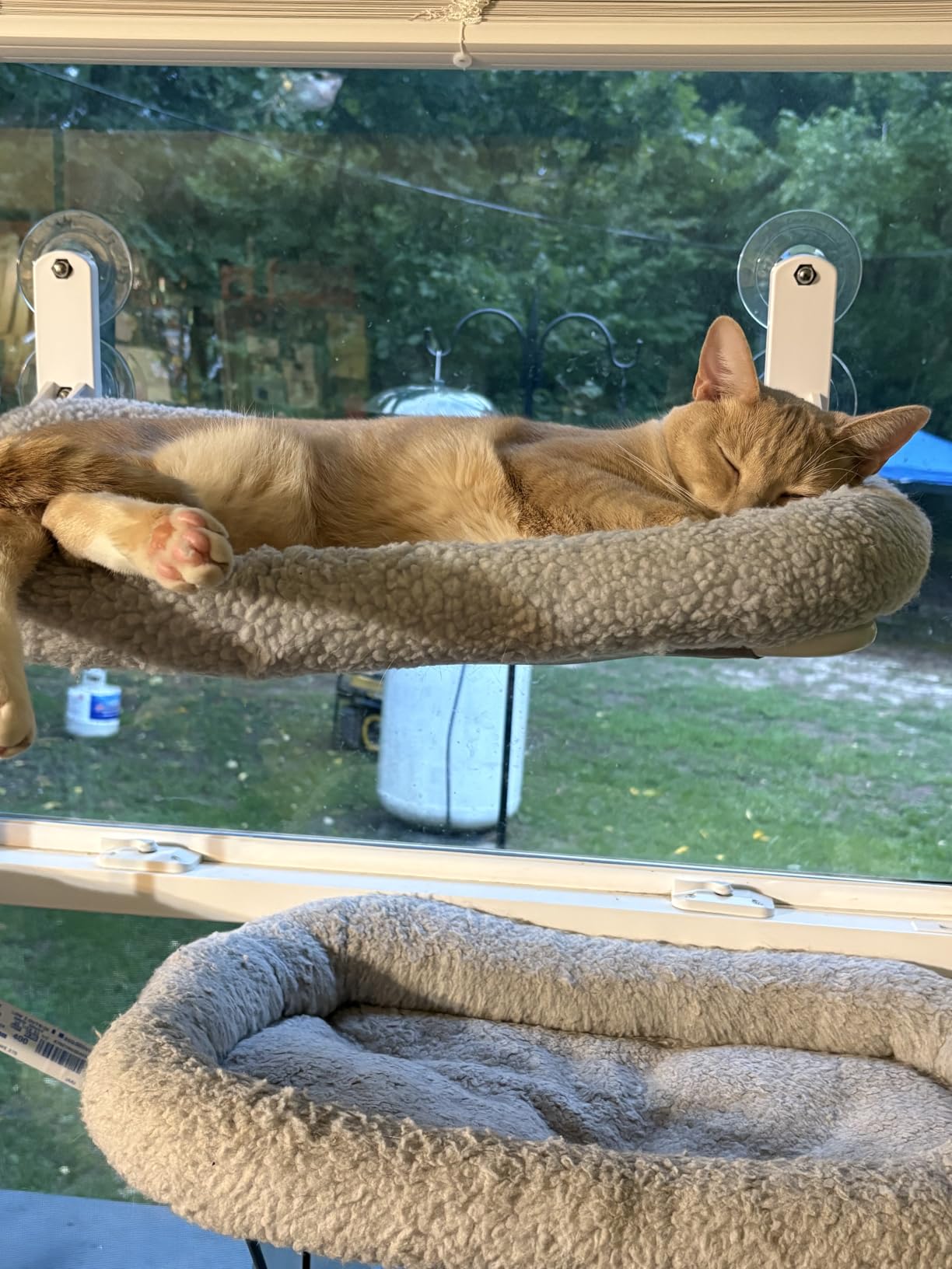 Zakkart Foldable Cat Hammock for Window (White Bolster Bed, Medium) customer photo 1