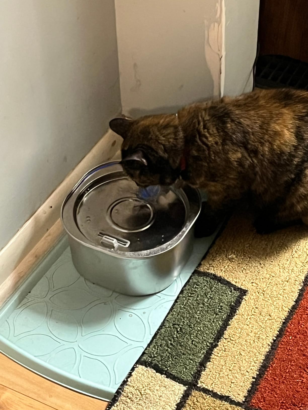 PEKTACO Cat Water Fountain, 3.2L/108oz Stainless Steel Pet Water Fountain customer photo 2