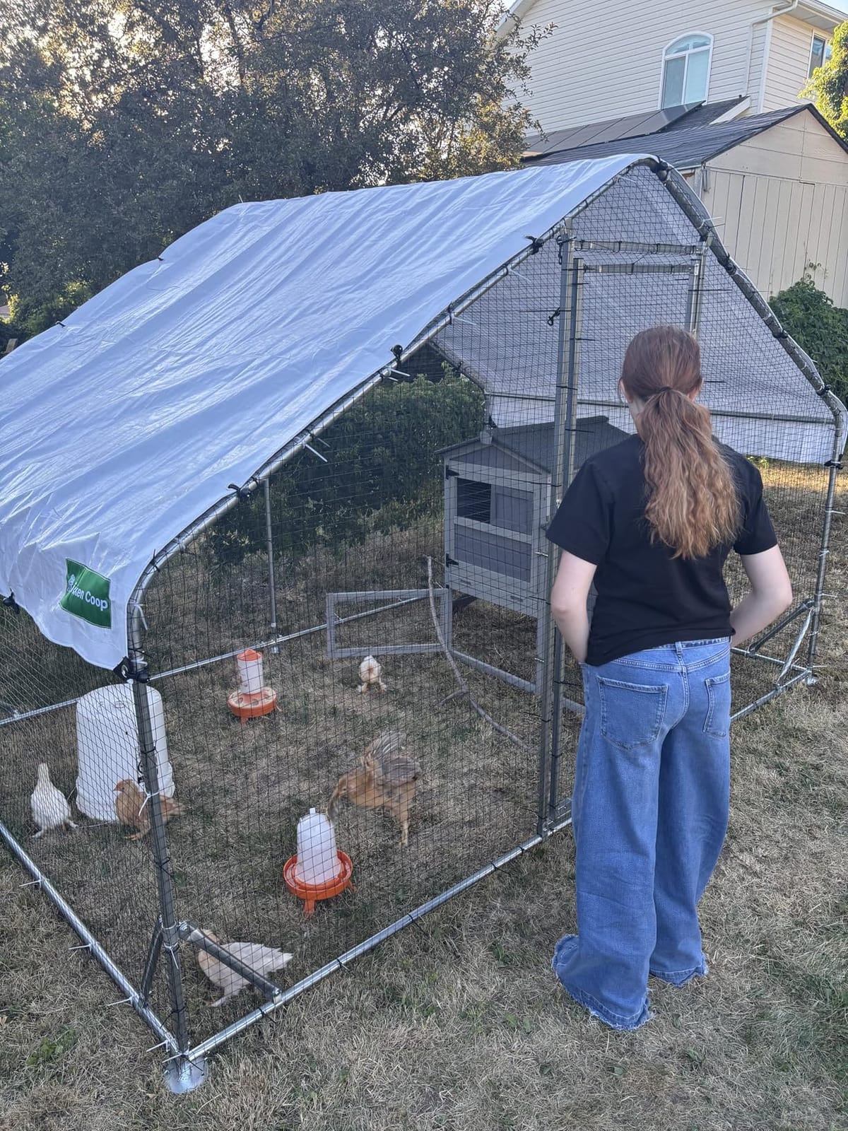 Walk-in Metal Chicken Coop 9.8x6.5x6.5 ft, Waterproof Cover, PVC Wire Mesh customer photo 1