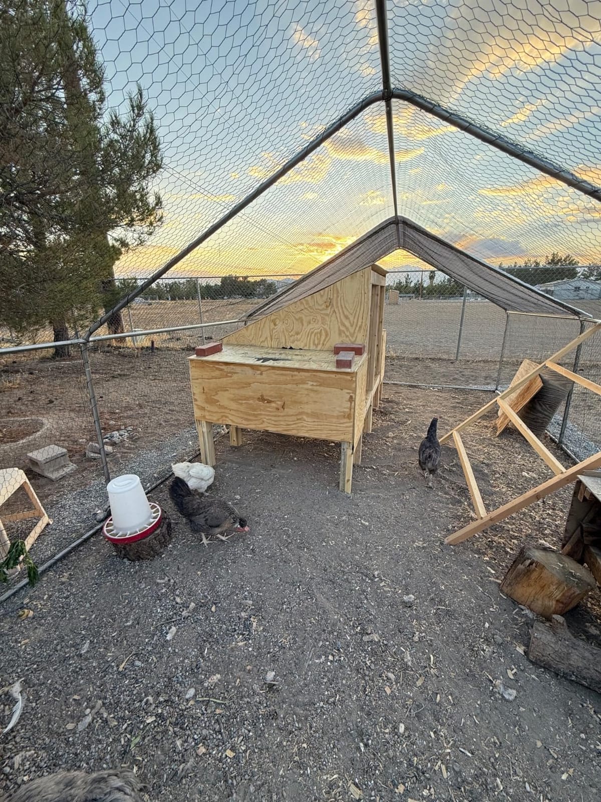 Walk-in Metal Chicken Coop 9.8x6.5x6.5 ft, Waterproof Cover, PVC Wire Mesh customer photo 2