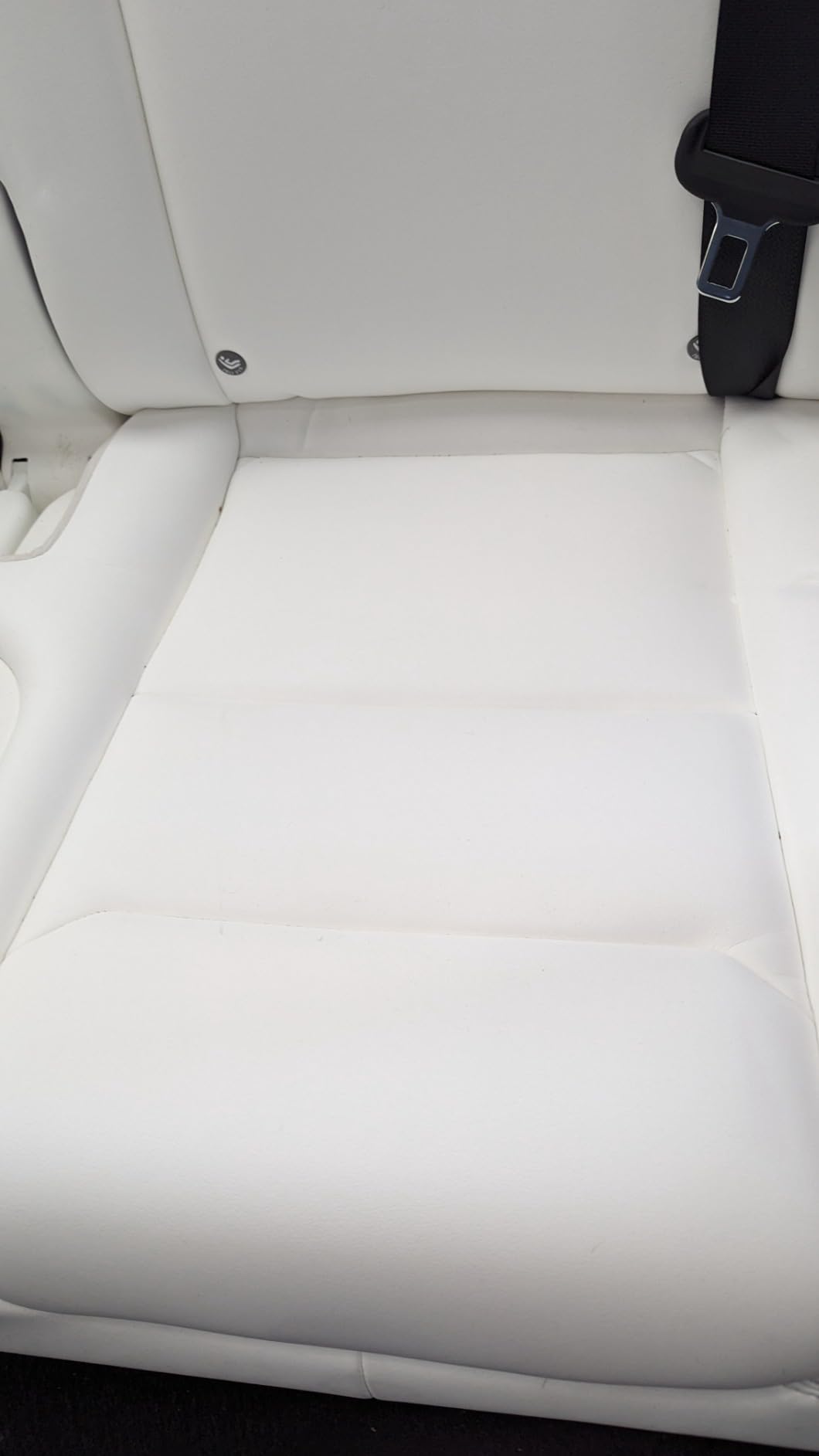 Tesla Seat Cleaner & Stain Remover, Interior Cleaner for Black & White Vegan Leather, Interior Cleaning Products | Tesla Model Y Juniper Accessories 2026, Tesla Model 3 Accessories, S, X, Cybertruck customer photo 2