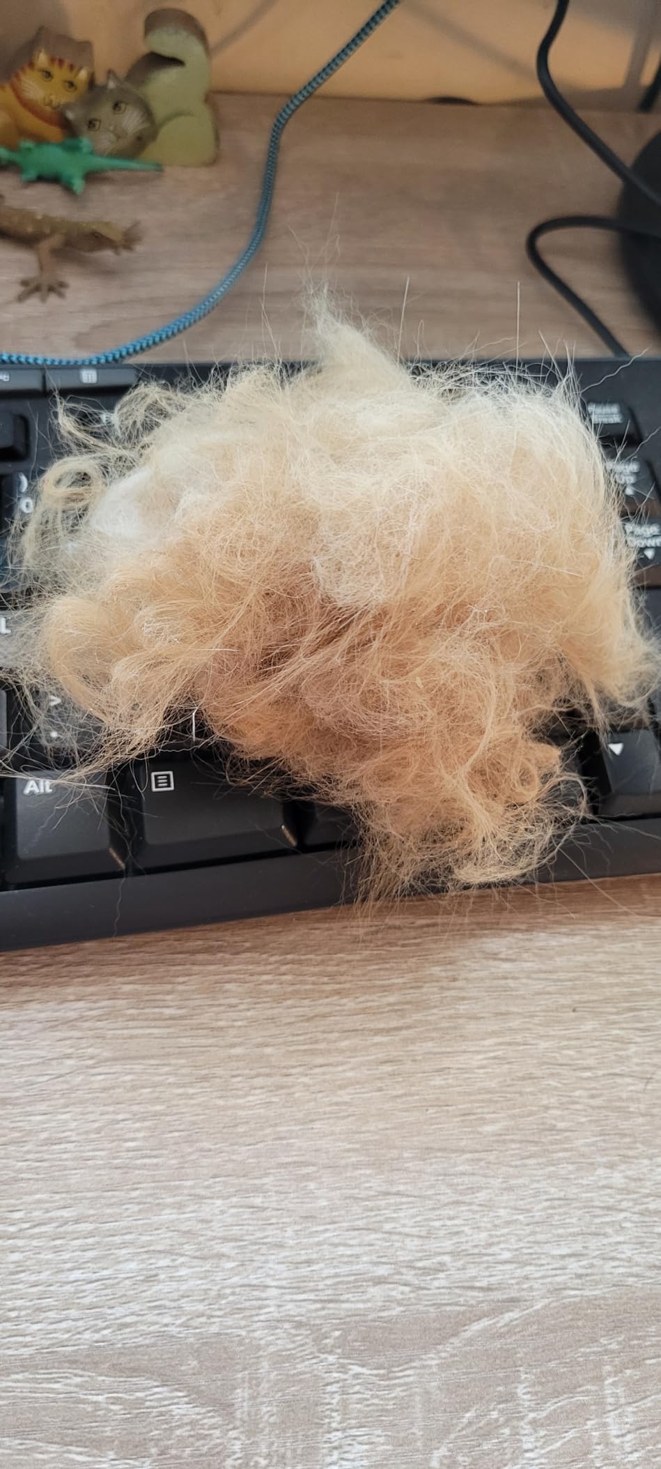 FelineFun Cat Brush for Dematting & Deshedding, 2 in 1 Undercoat Rake, Efficiently Remove Loose Hair & Matted Fur, Professional Shedding Comb for Indoor Cats & Long Haired Cats customer photo 1