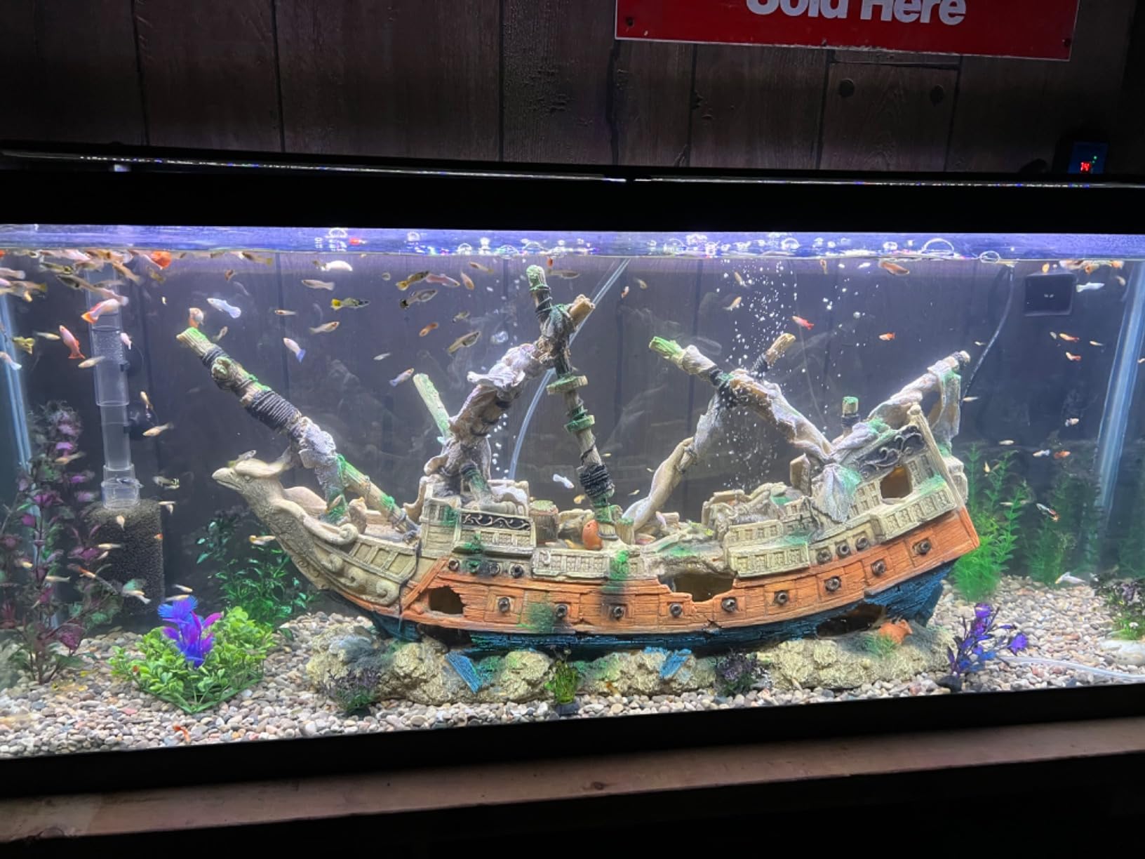 HiTauing Aquarium Heater, Upgraded 300W/500W Fish Tank Heater with Intelligent Leaving Water Automatically Stop Heating and Advanced Temperature Control System, Suitable for Saltwater and Freshwater customer photo 1