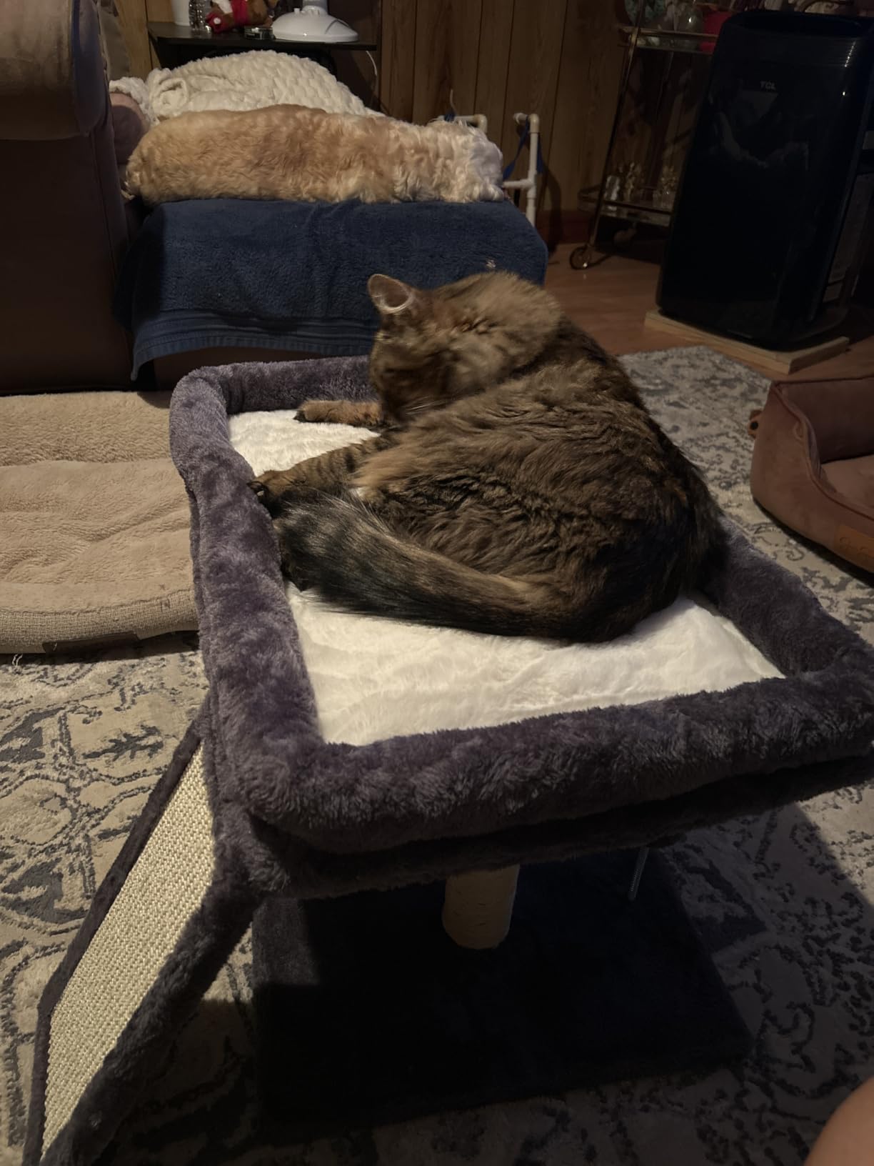Aechonow Cat Tree for Large Cats, 20x16.5 Perch Bed for Adult Senior Cats customer photo 2