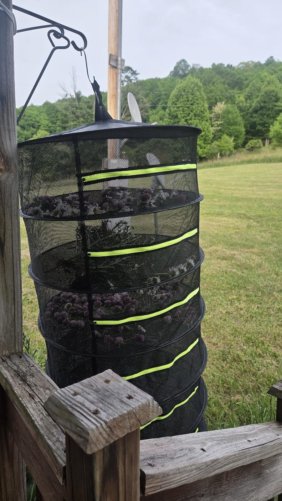 MEKOLIFE 6-Layer Herb Drying Rack with Collapsible Mesh Design customer photo 2