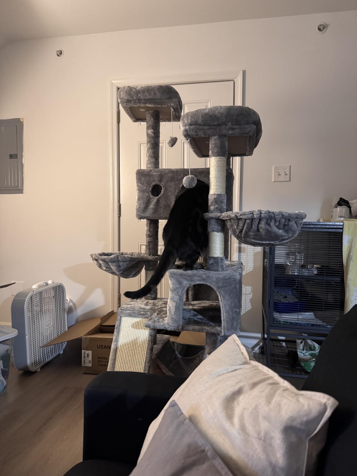 SHA CERLIN 65in Larger Cat Tree Tower Condo for Indoor Kitties/Multi-Level Furniture Activity Center with Wide Base/Cozy Plush Cat Perches/Baskets/Sisal Scratching Posts and Hammock/Grey customer photo 1