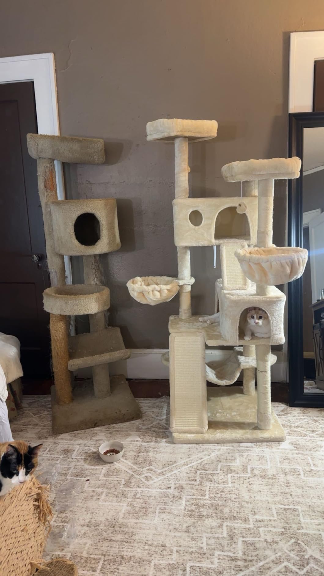 SHA CERLIN 65in Larger Cat Tree Tower Condo for Indoor Kitties/Multi-Level Furniture Activity Center with Wide Base/Cozy Plush Cat Perches/Baskets/Sisal Scratching Posts and Hammock/Grey customer photo 2