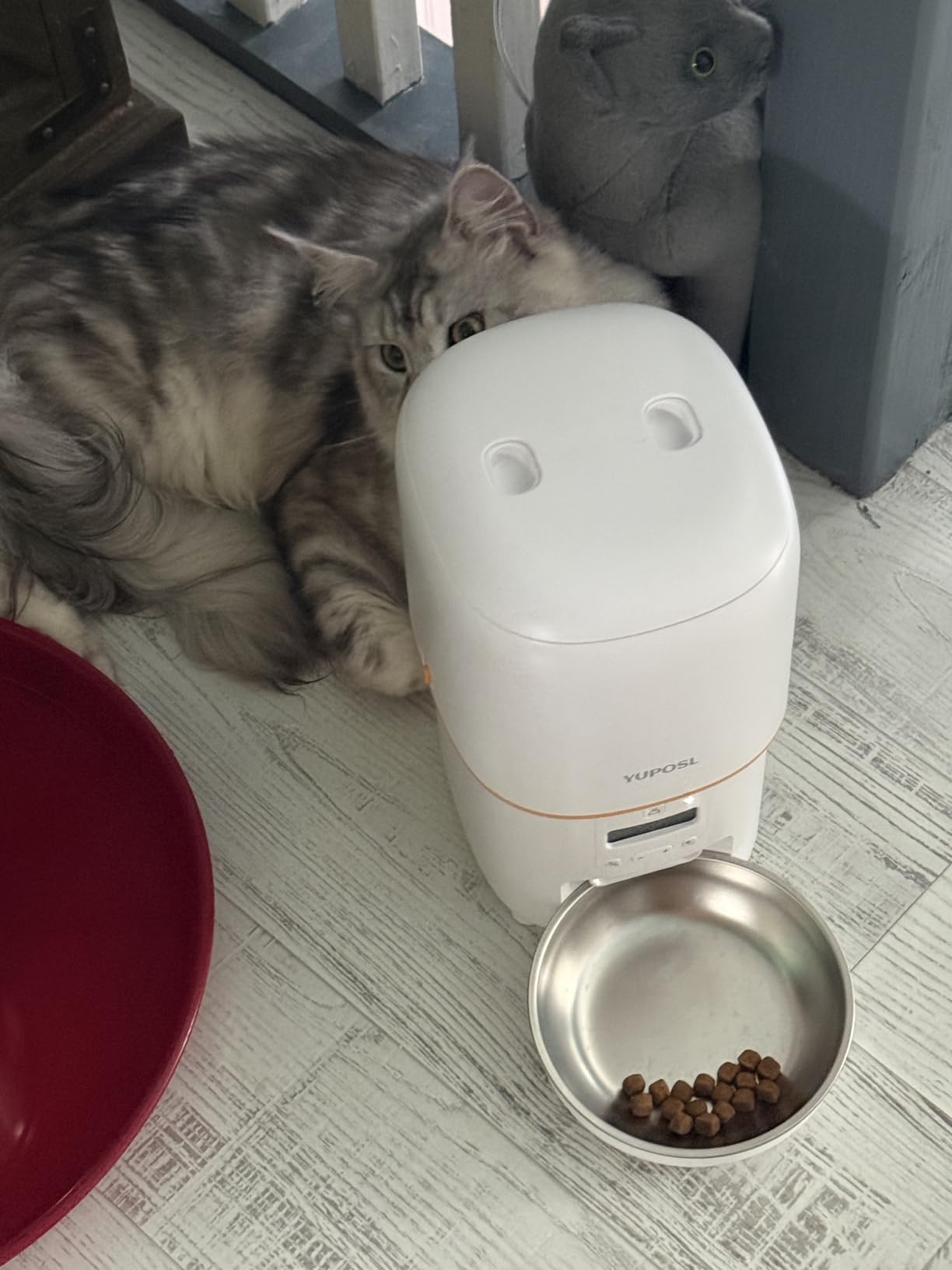 Automatic Cat Feeder with Camera - 5G WiFi Auto Cat Food Dispenser, 1080P HD Video with Night Vision, 1-15 Meals, 1-99 Portions, 2-Way Audio, Keeps Food Fresh, Timed Pet Feeder Also for Dogs customer photo 2