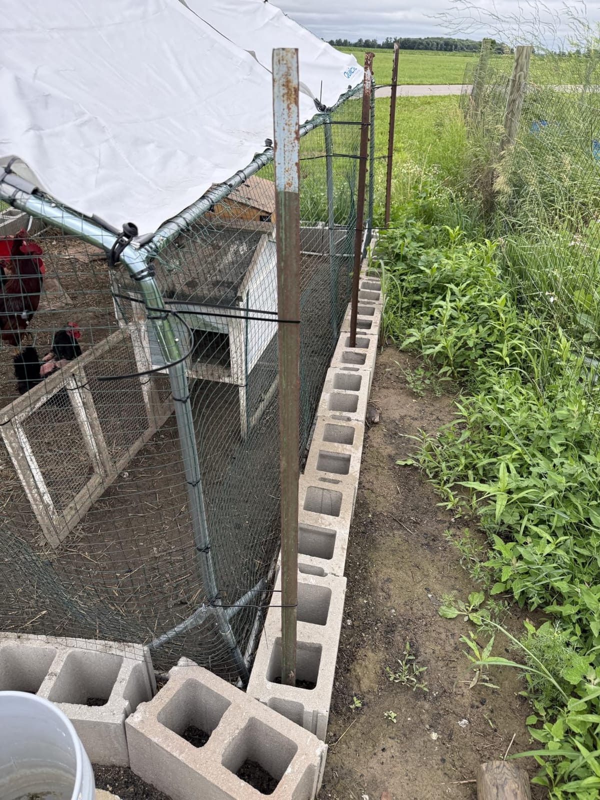 Quictent Large Metal Chicken Coop Run for 20+ Poultry w/Side Hardware Cloth customer photo 1
