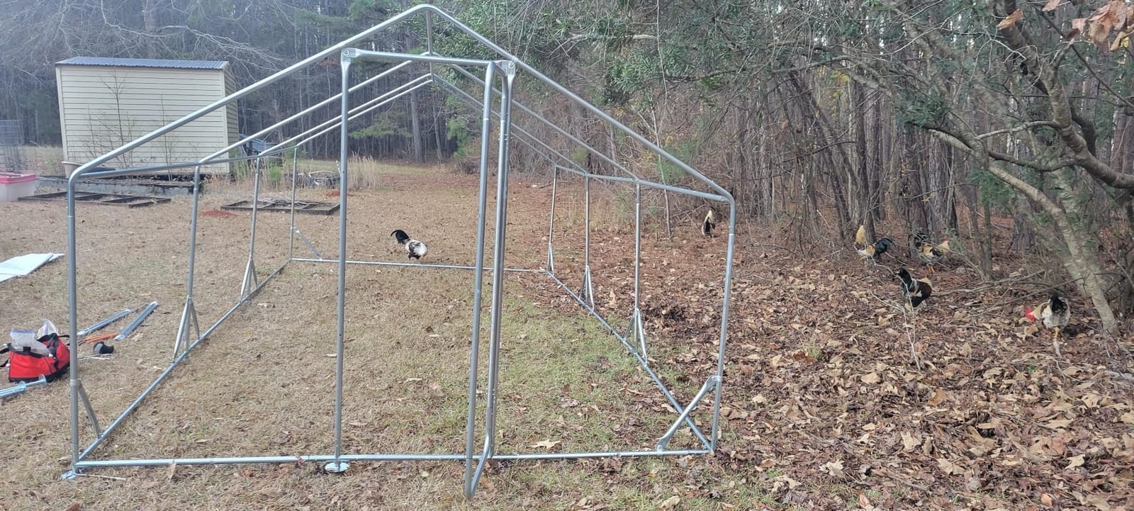 Quictent Large Metal Chicken Coop Run for 20+ Poultry w/Side Hardware Cloth customer photo 2