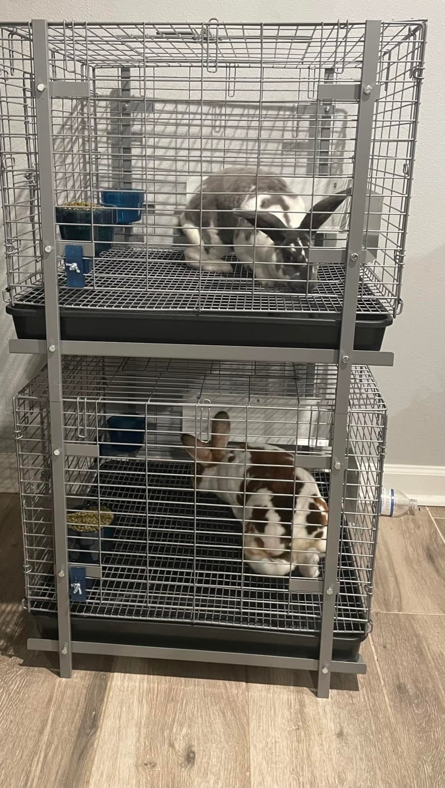 HOMESTEAD Rabbit Cage with Pull-Out Tray – 24 Inch Bunny Cage, Metal Rabbit Breeding Cage, Dual Access Doors, Waterproof Bottom & Urine Guard customer photo 1