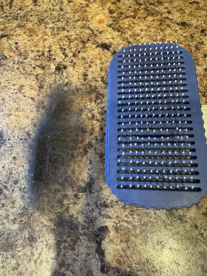 Cat brush, Cat Brush for Long or Short Haired Cats customer photo 1
