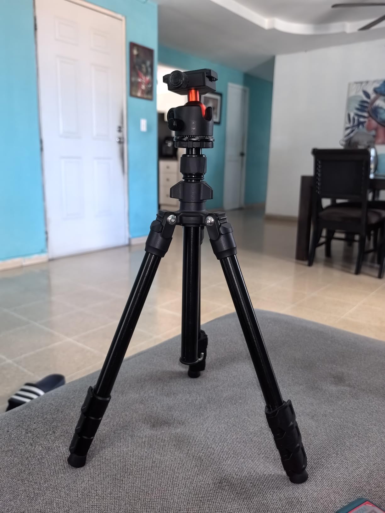 K&F Concept 76 in Overhead Camera Tripod customer photo 2