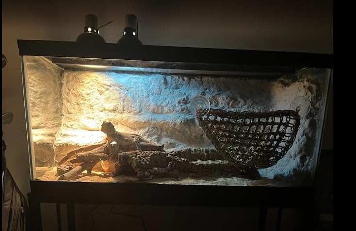 40 Gallon Metal Fish Tank Stand, Aquarium & Terrarium Stand for Home Office customer photo 1