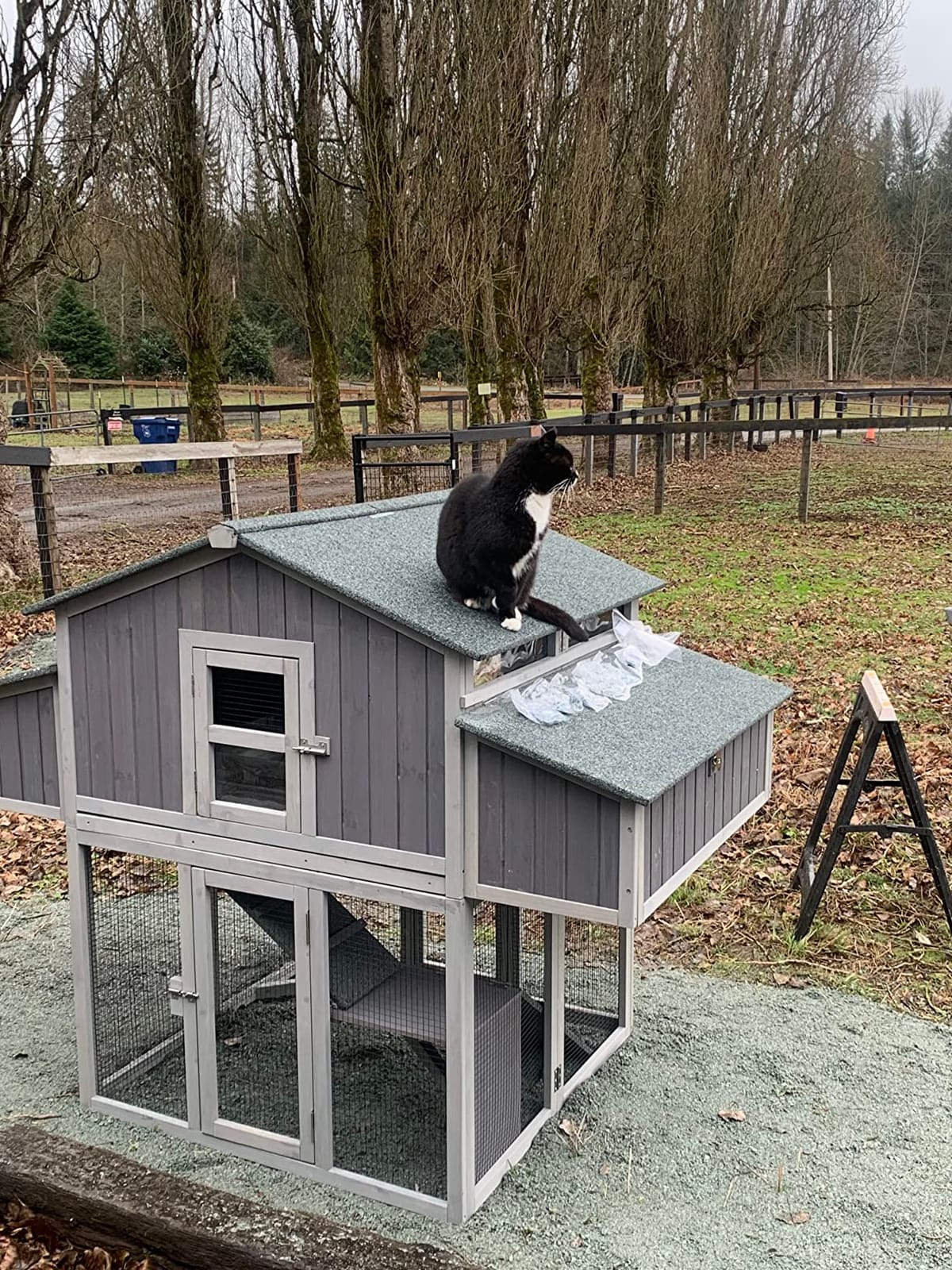 Aivituvin Chicken Coop Mobile Wooden Hen House with Nesting Box,Large Poultry Cage Upgrade with Strong Iron Frame,Durable & Waterproof customer photo 2