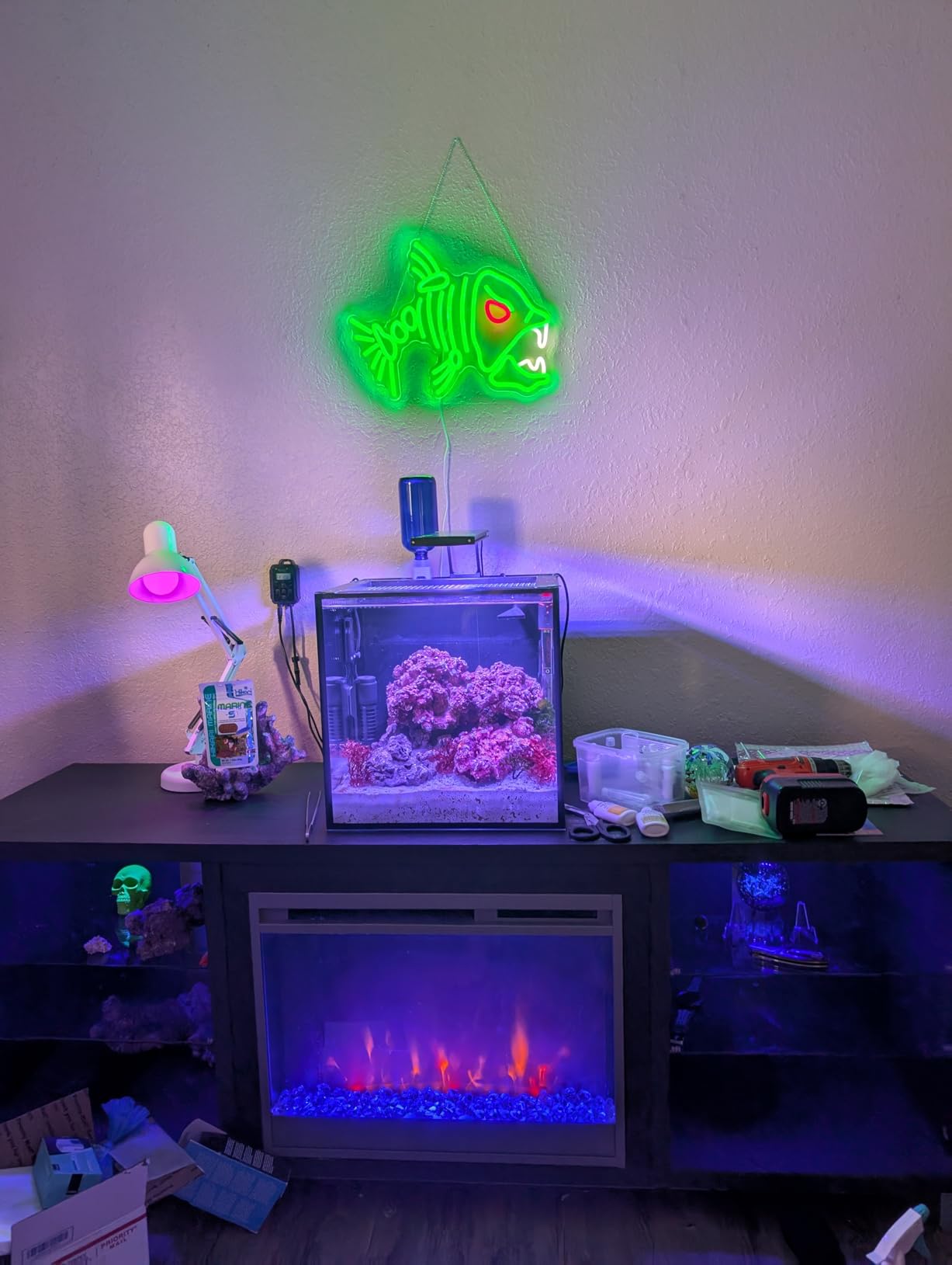 hygger Clip On 24/7 Saltwater Aquarium LED Light, 22W Sunrise-Daylight-Moonlight Mode and DIY Mode, Adjustable Timer Adjustable Brightness Fish Tank Light with 7 Colors for Coral Marine Tank customer photo 1