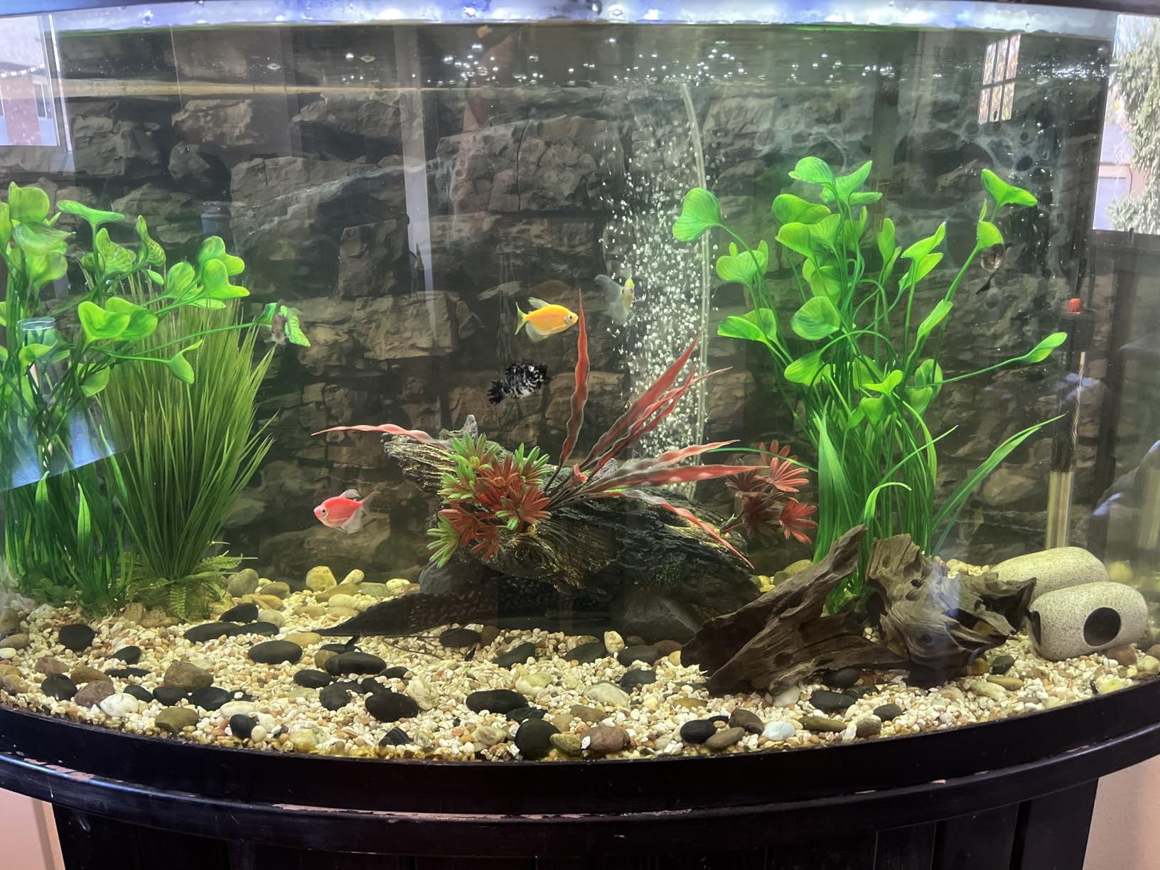 AQUASMITH No-Hum Whisper-Quiet Aquarium Air Pump,<25dB Adjustable Airflow customer photo 2