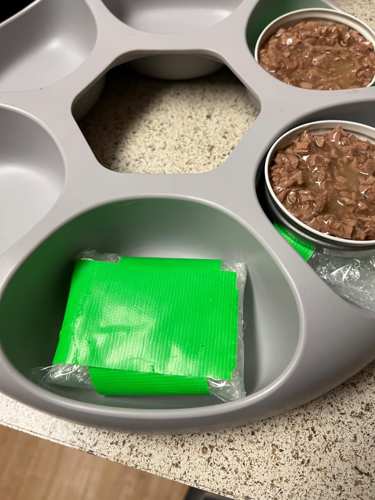 iPettie Donut Frost WiFi 6 Meal Automatic Wet Food Feeder with Ice Packs customer photo 1