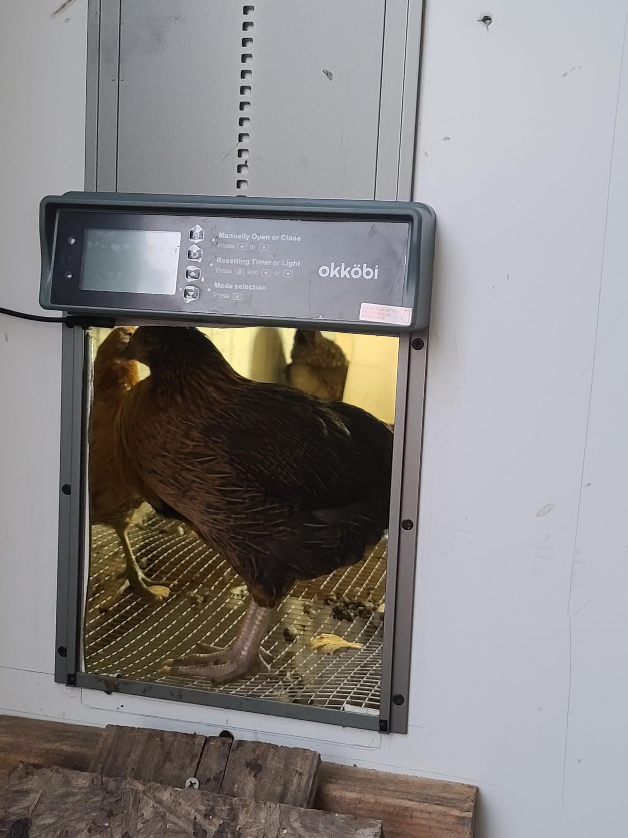 Chicken Coop Door, Light Sensor, Solar Powered Automatic with LCD Display customer photo 2