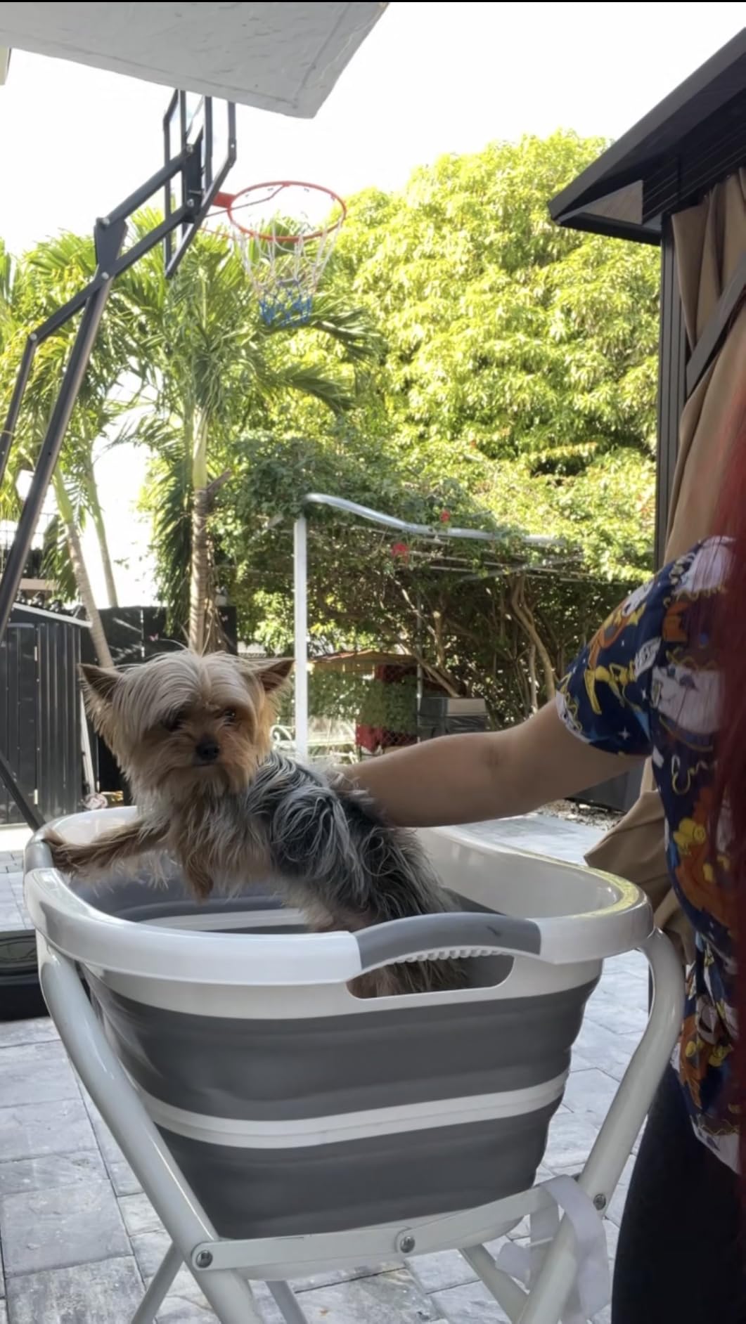 Portable Dog Bath Tub and Dog Washing Station, Collapsible Elevated Pet Tub for Bathing, Showering, Grooming, Pet Bathing Basin for Small to Medium Dogs, Cats and Other Pets (Built-in Drainage System) customer photo 1
