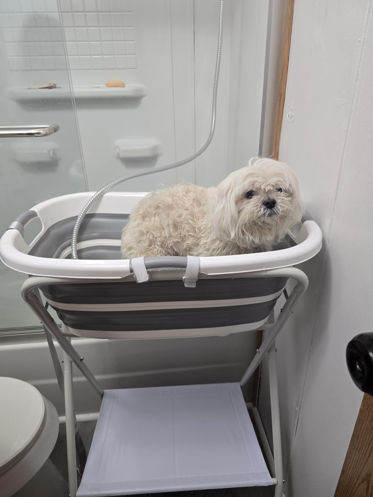 Portable Dog Bath Tub and Dog Washing Station, Collapsible Elevated Pet Tub for Bathing, Showering, Grooming, Pet Bathing Basin for Small to Medium Dogs, Cats and Other Pets (Built-in Drainage System) customer photo 2